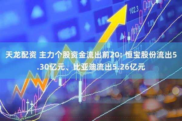 天龙配资 主力个股资金流出前20: 恒宝股份流出5.30亿元、比亚迪流出5.26亿元