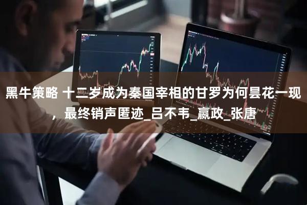 黑牛策略 十二岁成为秦国宰相的甘罗为何昙花一现，最终销声匿迹_吕不韦_嬴政_张唐