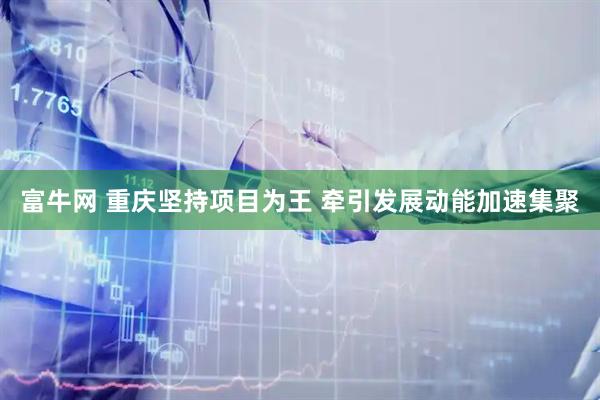 富牛网 重庆坚持项目为王 牵引发展动能加速集聚
