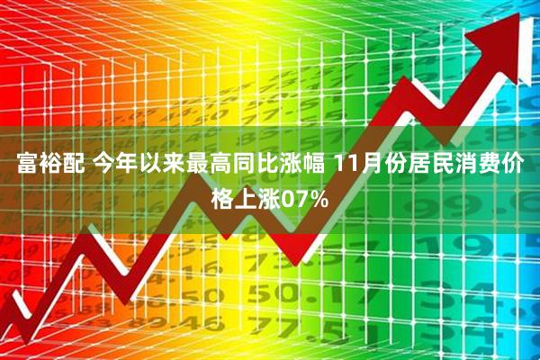 富裕配 今年以来最高同比涨幅 11月份居民消费价格上涨07%